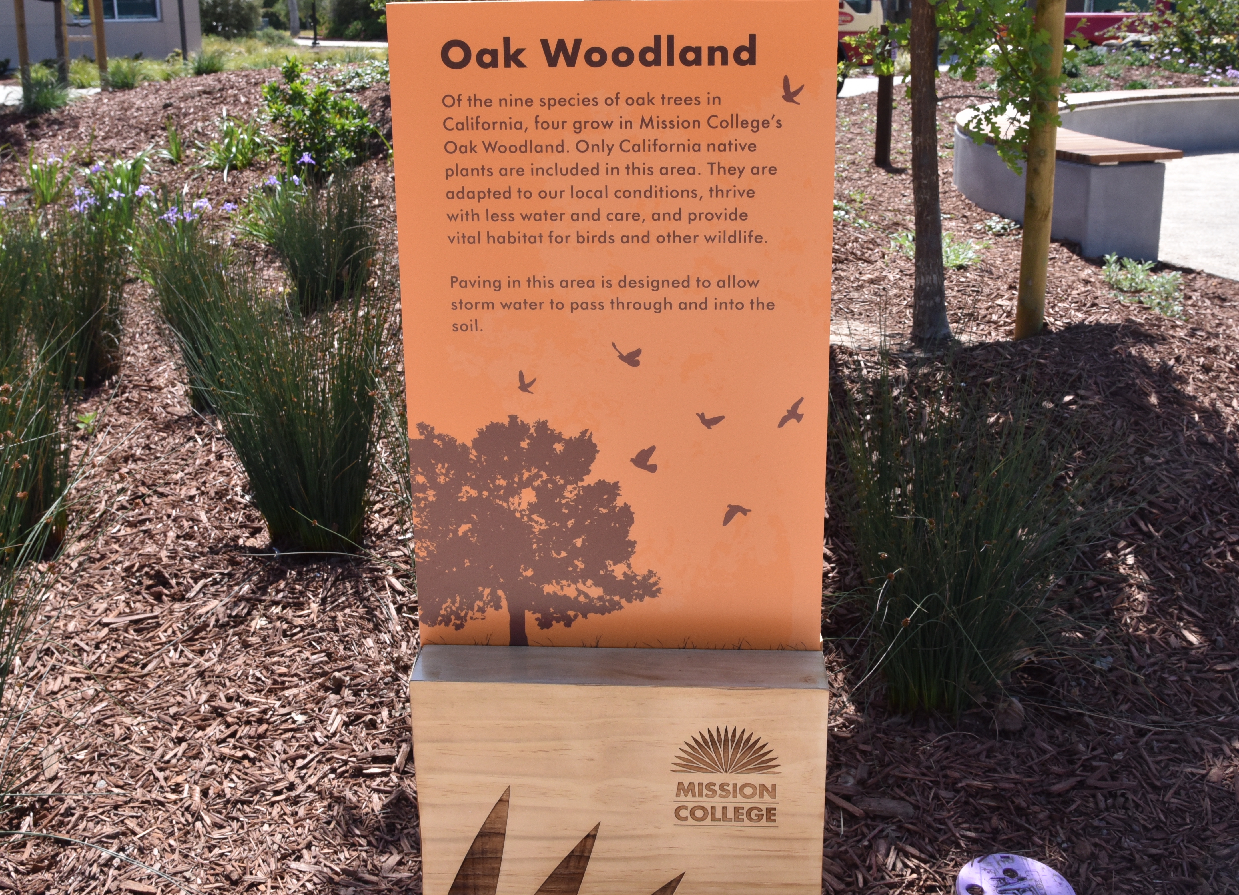 Oak Woodland Sign